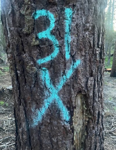 PG&E "sea foam green"